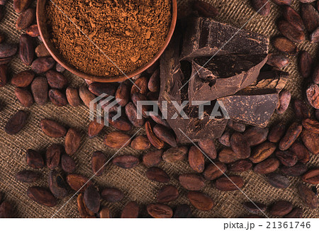 Raw cocoa beans Raw cocoa beans 21361746
