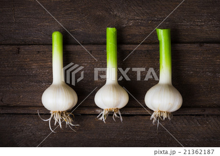 garlic 21362187
