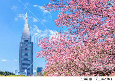 都市風景・春・さくら 21362463