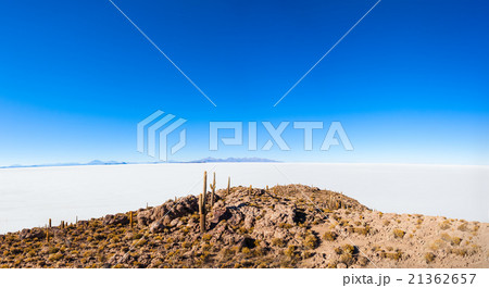 Cactus Island, Uyuni Cactus Island, Uyuni 21362657