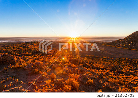 Altiplano sunrise, Bolivia 21362705
