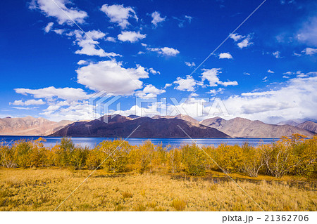 Pangong Lake 21362706