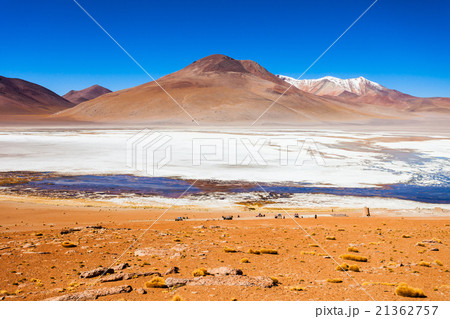 Lake, Bolivia Altiplano Lake, Bolivia Altiplano 21362757