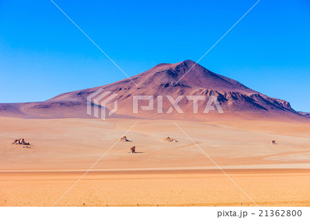 Salvador Dali Desert 21362800