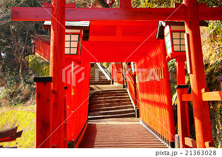 太鼓谷稲荷神社 太鼓谷稲荷神社 21363028