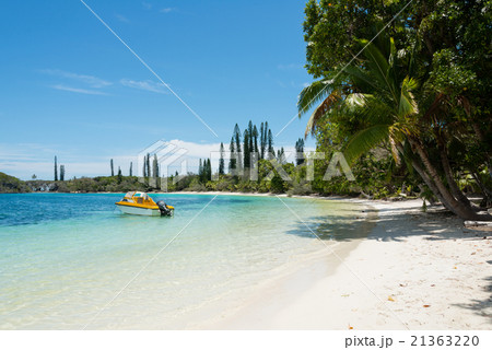 カヌメラ湾　（ニュー・カレドニア、イル・デ・パン） 21363220