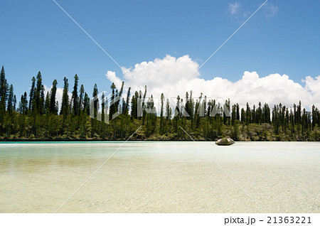 ピッシンヌ・ナチュレル　（ニュー・カレドニア、イル・デ・パン） 21363221