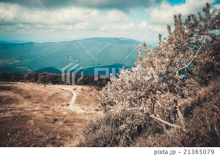 Mountain View Carpathians 21365079