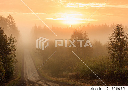 Dirt road and thick fog sunrise Dirt road and thick fog sunrise 21366036