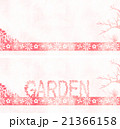 ガーデン　ピンク　テクスチャ 21366158