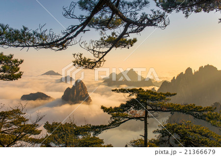 Monkey watch sea cloud ,Mt. Huangshan in Anhui, Ch Monkey watch sea cloud ,Mt. Huangshan in Anhui, Ch 21366679