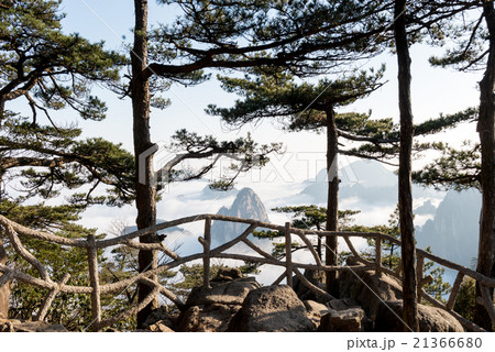 Monkey watch sea cloud ,Mt. Huangshan in China Monkey watch sea cloud ,Mt. Huangshan in China 21366680