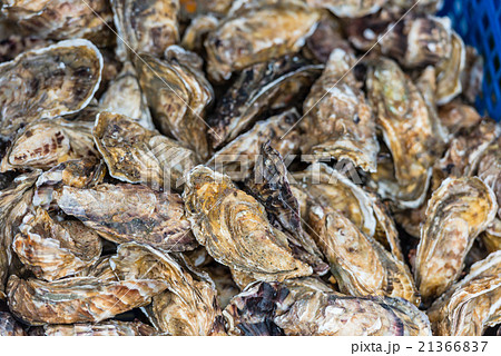 Oysters market in Cancale, France 21366837