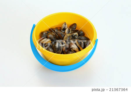 潮干狩りイメージ 21367364