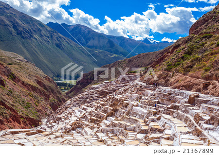 Salinas de Maras Salinas de Maras 21367899