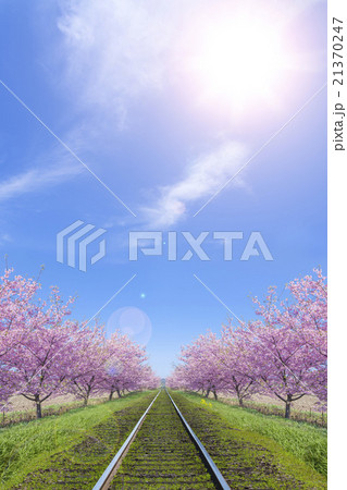 桜並木と線路 桜並木と線路 21370247