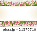 Pink tulips with space for text. EPS 10 21370710