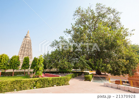 Mahabodhi Temple, Bodhgaya 21370928