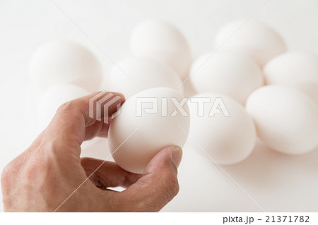 卵　白バック 21371782