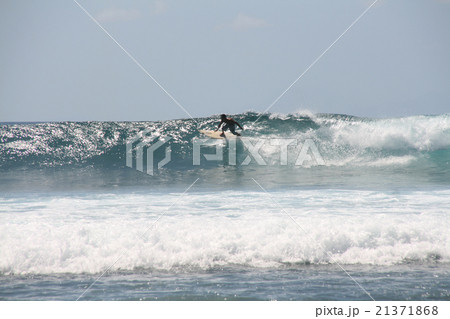 surfing surfing 21371868