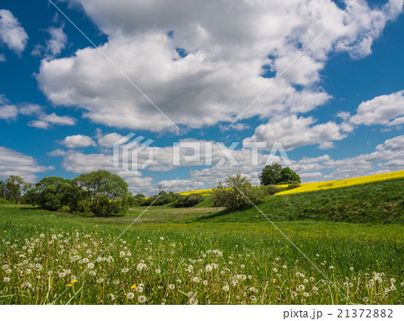 Landscape Landscape 21372882