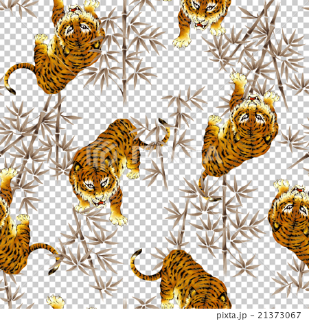 日本虎紋 插圖素材 圖庫