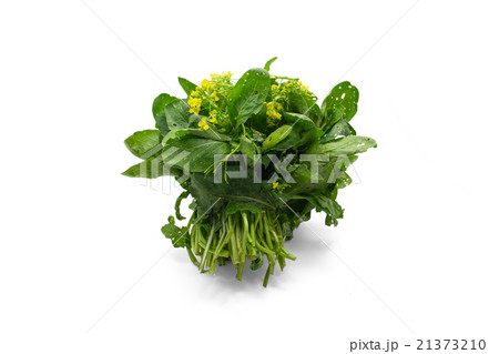 Bunch of organic Choy Sum on white background 21373210