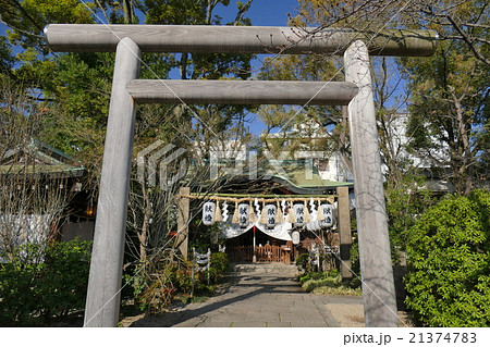 堀越神社 大阪府大阪市天王寺区茶臼山町１ ８の写真素材