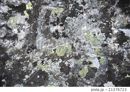 background of stone and moss 21376723