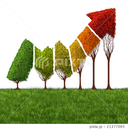 Annual Report Concept 21377065