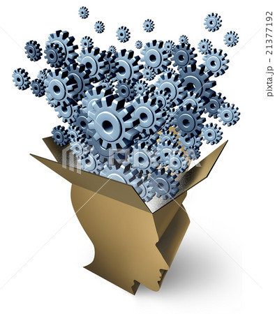 Brain Function 21377192