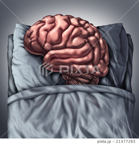 Brain Sleep 21377265