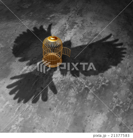 Cage Freedom 21377583