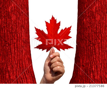Canadian Autumn 21377586
