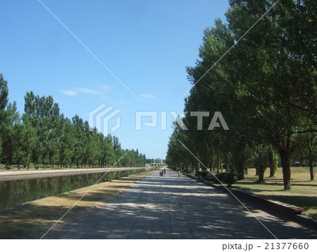夏の前田森林公園 夏の前田森林公園 21377660