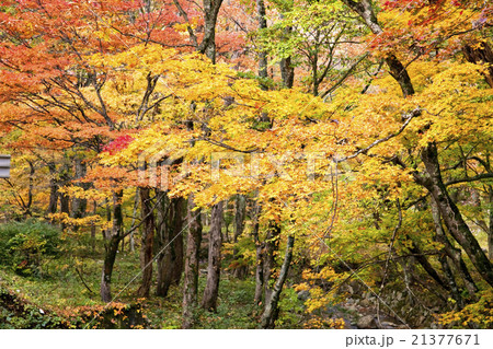 風景 風景 21377671
