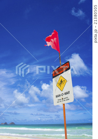 ビーチフラッグの写真素材