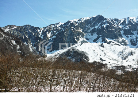 春の大山 北壁 春の大山 北壁 21381221