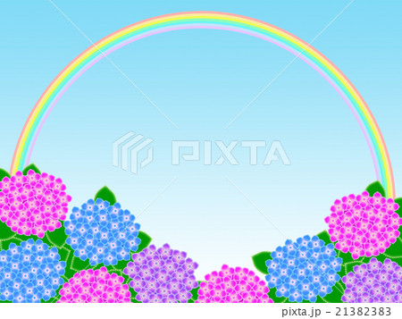 紫陽花 紫陽花 21382383