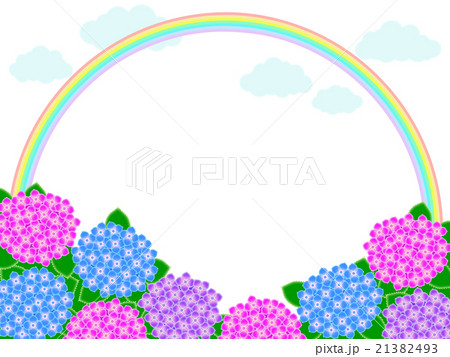 紫陽花 紫陽花 21382493