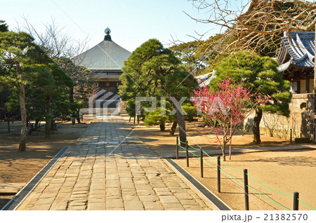 銚子散歩:浄土宗 浄国寺 銚子散歩:浄土宗 浄国寺 21382570