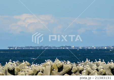 滑川から見るしんきろう 21383131