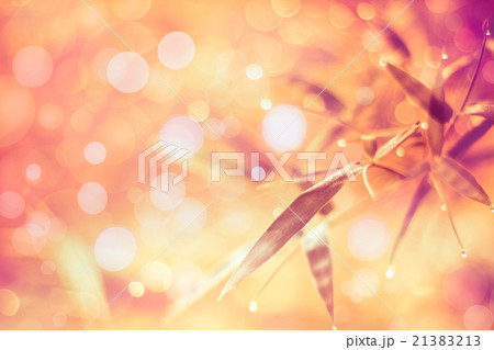 Twinkling lights abstract blurred bokeh background Twinkling lights abstract blurred bokeh background 21383213
