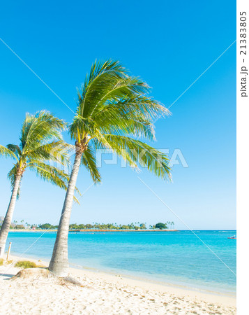 ハワイ アラモアナ・ビーチ・パーク ハワイ アラモアナ・ビーチ・パーク 21383805