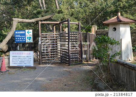 公園の帰り道 21384817