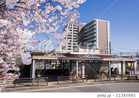 岩倉駅　と桜　西口出入口 21385083