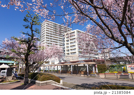 岩倉駅前　西口　さくらとエムズシティー岩倉ステーションタワー 21385084
