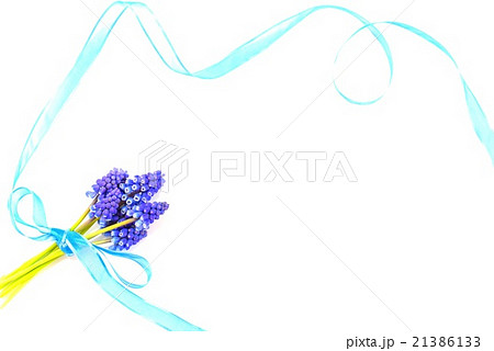 ムスカリと青いリボン 21386133