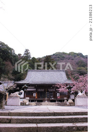 法輪寺 本堂 法輪寺 本堂 21386213