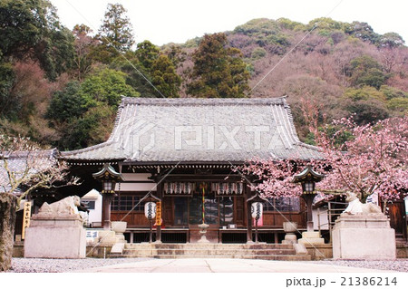 法輪寺 本堂 法輪寺 本堂 21386214